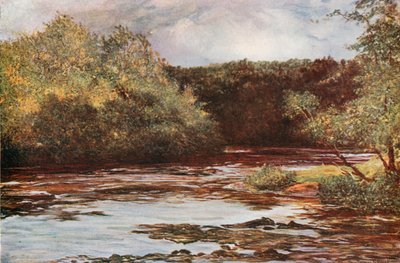 Der Fluss Ayr bei Failford von Francis S. Walker